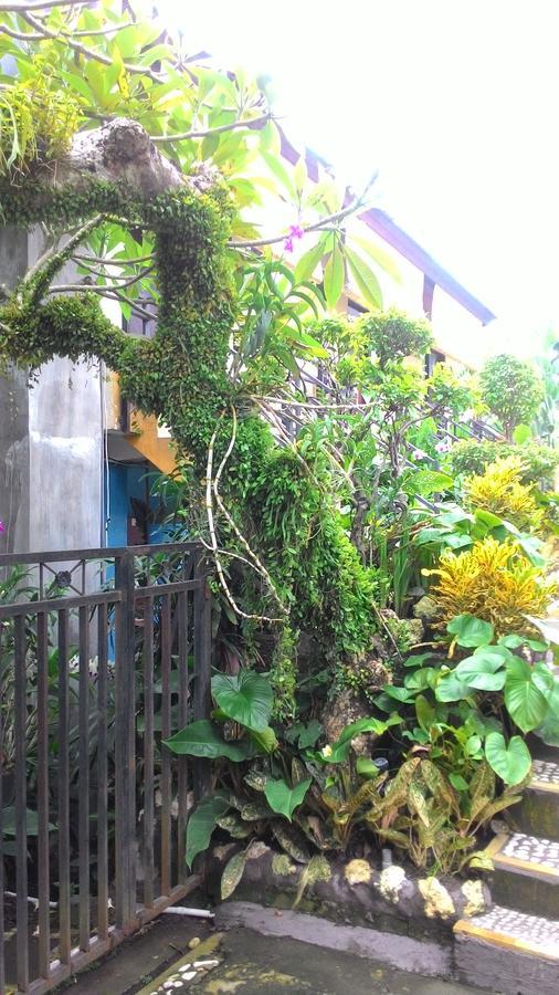 Betesda Guest House Canggu Esterno foto